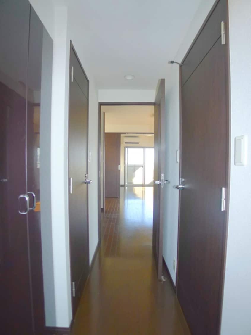 廊下 ﾊﾟﾃﾗｽｸｴｱ金町(1001)