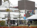 テラスモール茅ヶ崎(ショッピングセンター/アウトレットモール)まで210m ＳＴビル