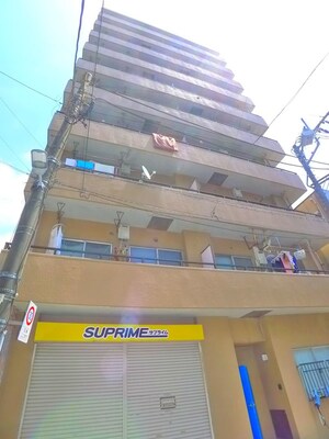 ライオンズマンション金町(901)