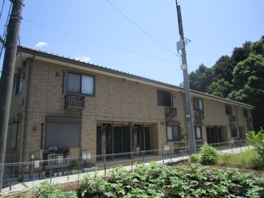 その他 フロ－ラ