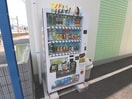 その他 ペールライム