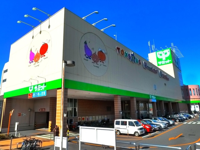 サミット(スーパー)まで367m フラッツＴ：Ｎ