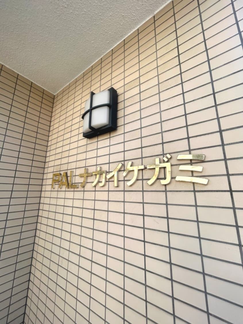 その他 ＰＡＬナカイケガミ