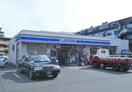 ローソン(コンビニ)まで190m ＰＡＬナカイケガミ