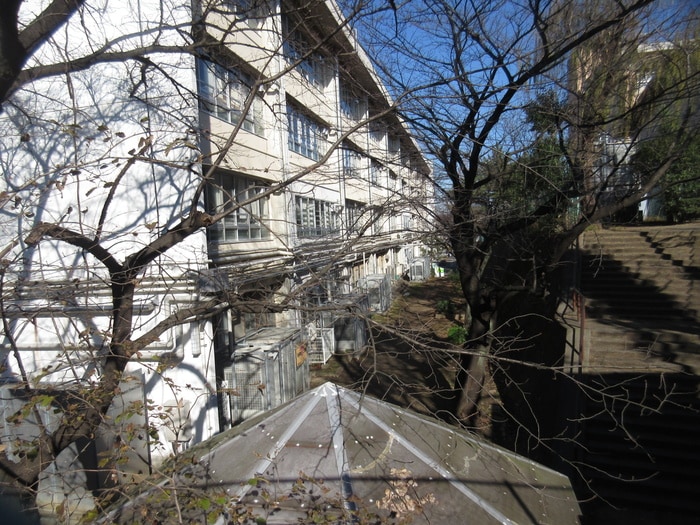 川崎市立西有馬小学校(小学校)まで349m 泉ハイツ