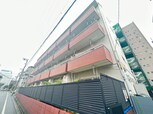 サンライズ蓮根（308）