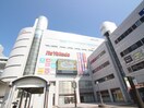 イトーヨーカドー 草加店(スーパー)まで400m ライブコ－ト草加
