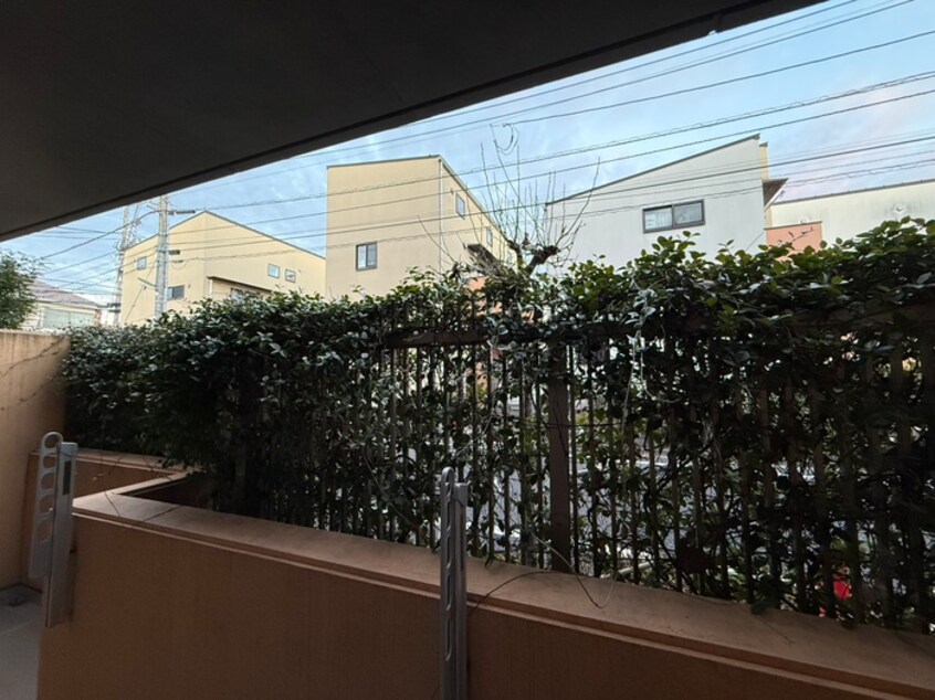 室内からの展望 ＥＬ　ＰＡＴＩＯ