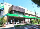 サミット池上八丁目店(スーパー)まで350m アルバ千鳥