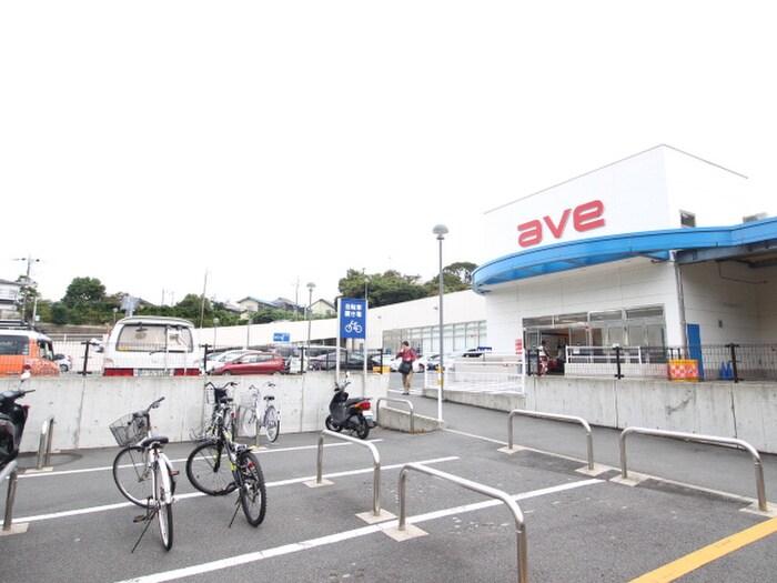 エイヴイ衣笠店(スーパー)まで750m 小矢部２丁目貸家