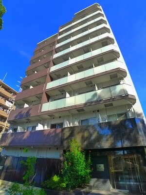 ﾗｲｼﾞﾝｸﾞﾌﾟﾚｲｽ綾瀬三番館(401)