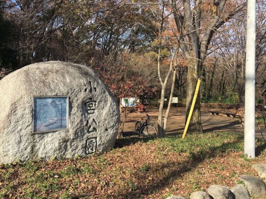 小宮公園(公園)まで700m キャビンタコス