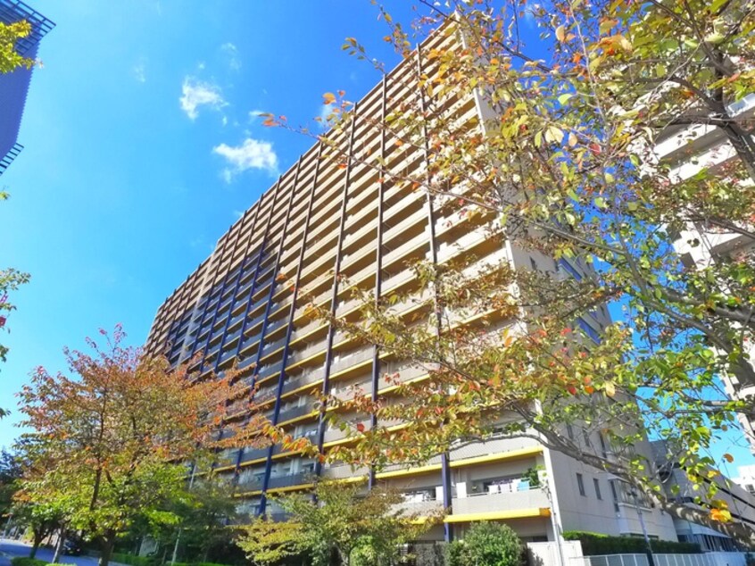 外観写真 ブラウシア（１５１０）