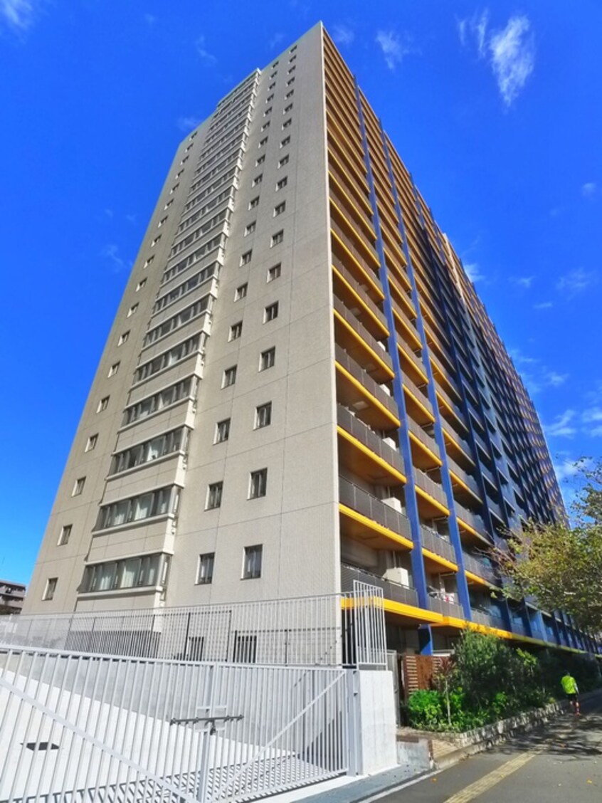 その他 ブラウシア（１５１０）