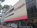 オリンピック(電気量販店/ホームセンター)まで304m コンフォリア中落合