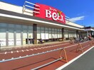 ベルクス(スーパー)まで300m ルピナス