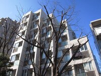 ワイライフ二子玉川(501)