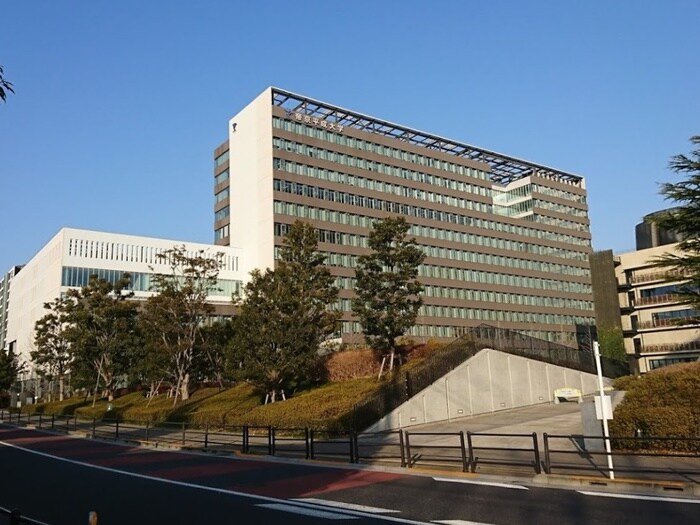 帝京平成大学　中野キャンパス(大学/短大/専門学校)まで450m 光レジデンス
