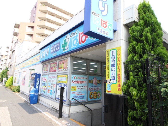 ドラッグぱぱす(ディスカウントショップ)まで350m プレイス下落合