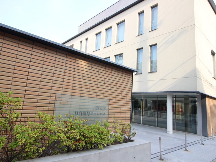 上智大学(大学/短大/専門学校)まで400m プレイス下落合