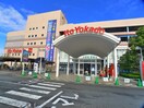 イトーヨーカドー(スーパー)まで800m リブリ・富士