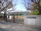 朝霞市立第四中学校(中学校/中等教育学校)まで1800m スタ－ハイムＢ