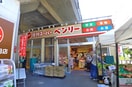 ベンリー(スーパー)まで133m カハラ西小岩
