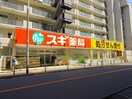 スギ薬局 練馬早宮店(ドラッグストア)まで271m レピュア豊島園レジデンス