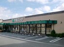 京急ストア 磯子丸山店(スーパー)まで284m Ｓｔａｇｅ　Ｄｏｏｒ