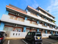 ルネス　ペティーナパル