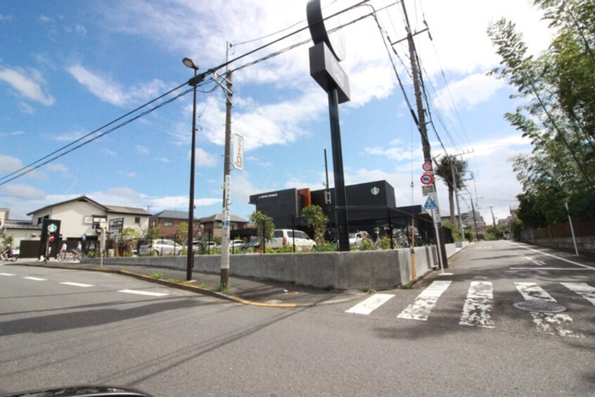 スターバックスコーヒー(カフェ)まで1300m メゾン ルミエール