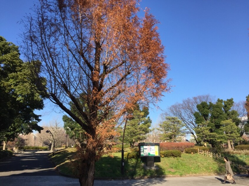 猿江恩賜公園(公園)まで820m ｼｬﾄ-ﾚ山崎