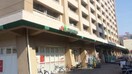 マルエツ井土ヶ谷店(スーパー)まで521m グレイ1