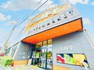 ライフ　中原井田店(スーパー)まで130m ミレナリオ元住吉