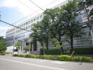 法政大学 小金井キャンパス(大学/短大/専門学校)まで350m 梶野コーポ