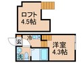 ハーモニー西新井の間取図