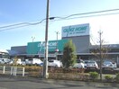 カインズホーム 町田多摩境店(電気量販店/ホームセンター)まで671m サンハイツ１