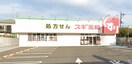 スギ薬局 相模が丘北店(ドラッグストア)まで265m 相模が丘貸家Ⅱ