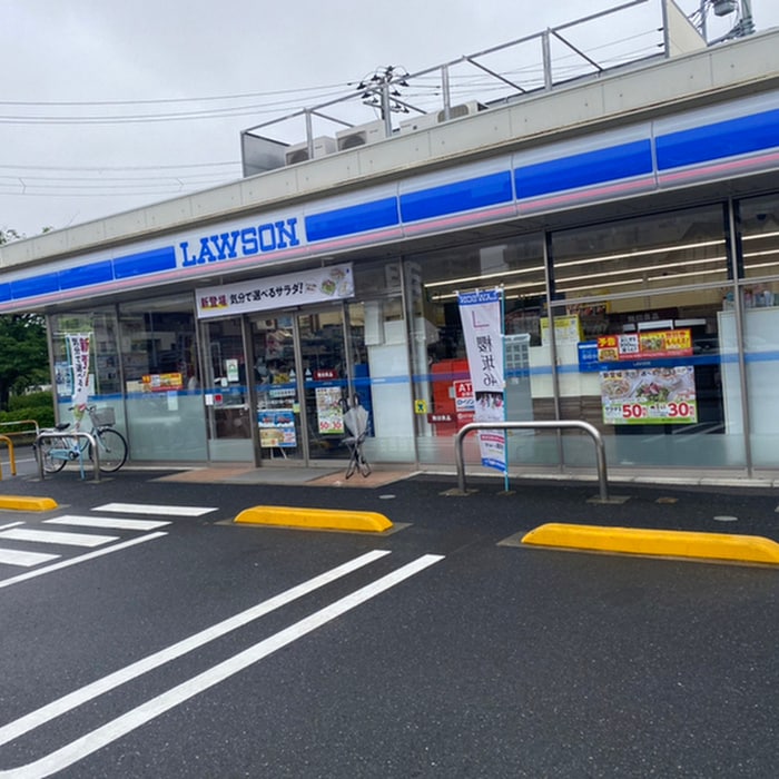 ローソン(コンビニ)まで166m RUHE　HAUS