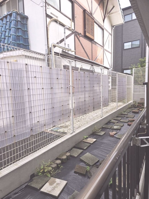 室内からの展望 メゾン行徳