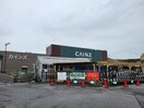 カインズホーム毛呂山店(電気量販店/ホームセンター)まで445m メゾントレゾア
