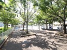 根岸3丁目公園(公園)まで6m 根岸パークビル（2F）