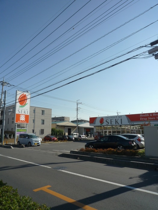 セキ薬局(ドラッグストア)まで486m サフィ－ル