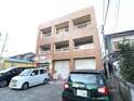 完成写真