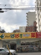 どらっぐぱぱす(ドラッグストア)まで481m ドゥーエ両国