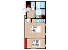 ＣＡＳＡ　ＰＩＡＺＺＡ　亀戸 1LDKの間取り