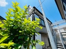 マルヨシコ－ポ２２の外観