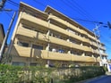 完成写真