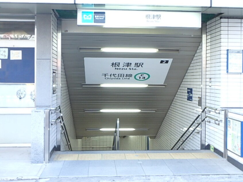 周辺環境 カテリーナ千駄木（901）