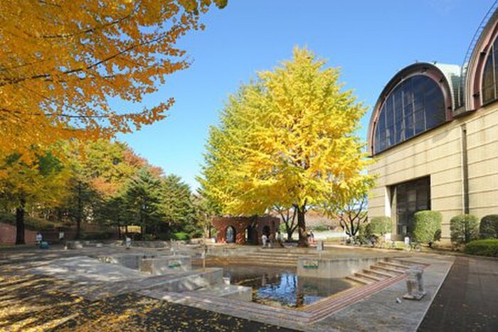 小平市立中央公園(公園)まで450m ハイツ粕谷